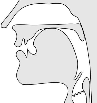 File:Voiced palatal plosive.svg