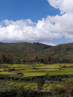 Aileu Valley