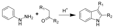 The Fischer indole synthesis