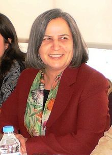 Gülten Kışanak (cropped).jpg