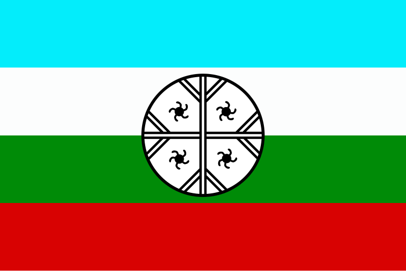 File:Huenteche flag.svg