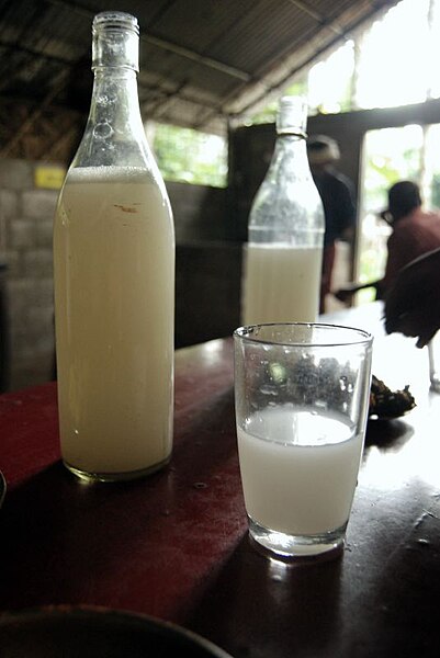 Archivo:Toddy Bottle and Glass.jpg