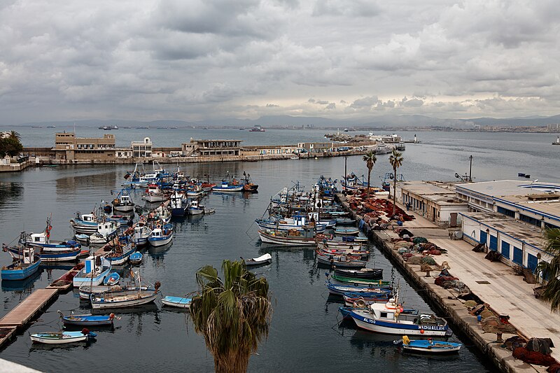 File:Algiers fishing port.jpg