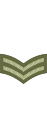 Corporal (British Army)[45]