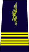 colonel