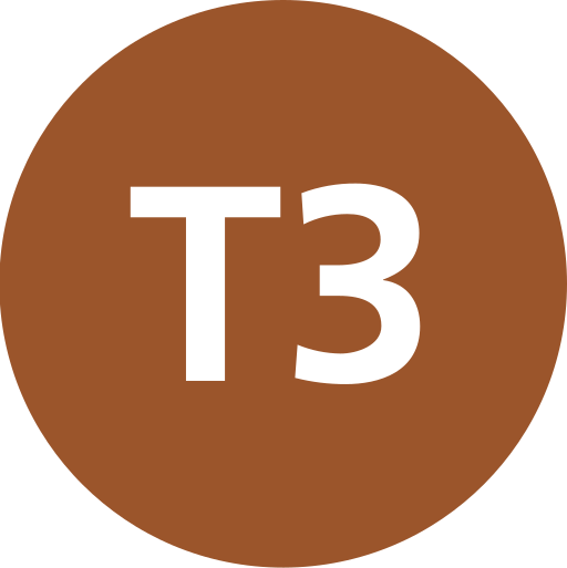 File:Istanbul T3 Line Symbol.svg