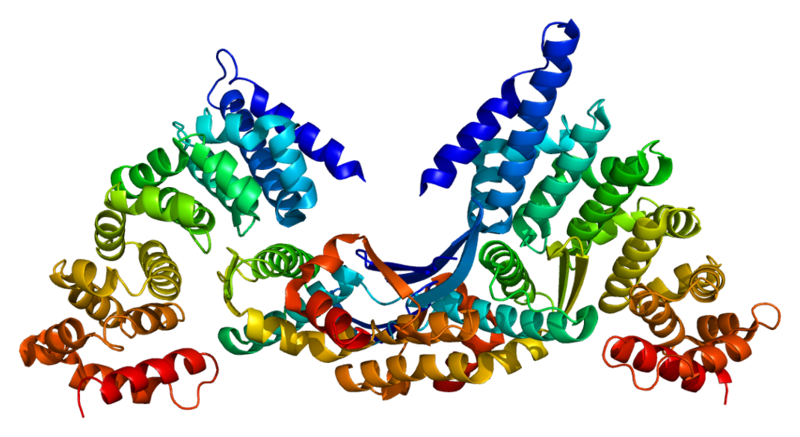 File:Protein HSPA6 PDB 1xqs.png