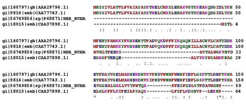 File:Protein alignment.jpg