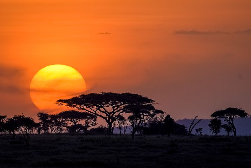 Archivo:Serengeti sunset-1001.jpg