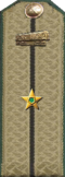 погоны мпс 1943