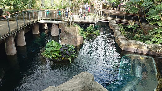 从上方空中步道拍摄