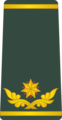 Georgian Armed Forces: ბრიგადის გენერალი