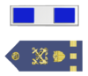 U.S. Coast Guard Chief Warrant Officer 3 Rank Insignia