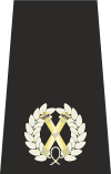 Metropolitan Police Commander epaulette