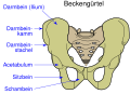 de (alemán)