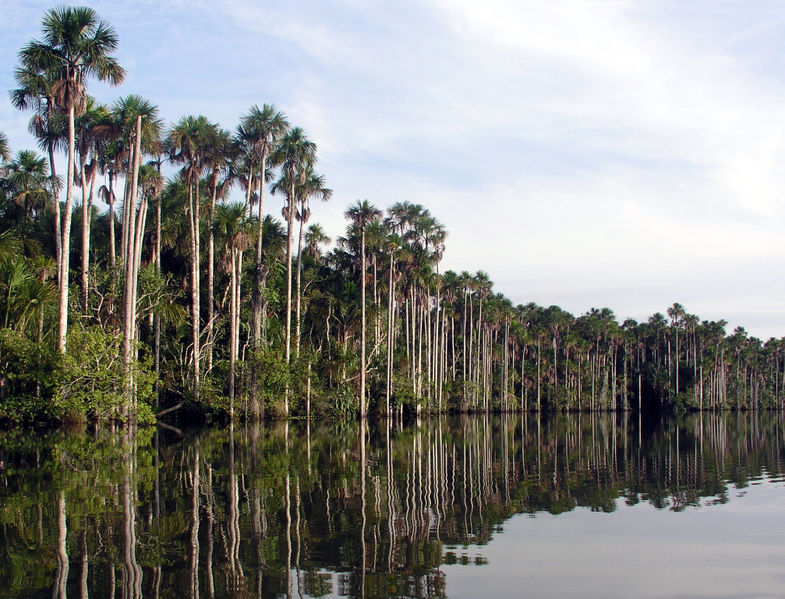 File:PuertoMaldonado LagoSandoval3.jpg