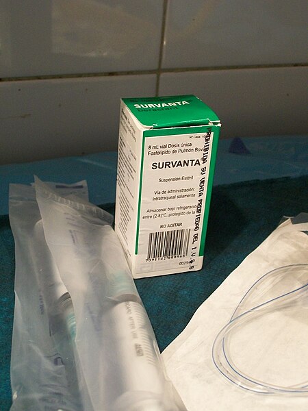 File:Pulmonary surfactant.JPG