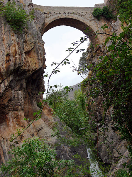 Archivo:ANGUIANO-08-(2009)-Puente Madre de Dios.jpg