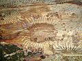 Bark beetle galleries with bark showing exit holes