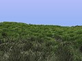 Rendered Grass created with Blender 2.49.