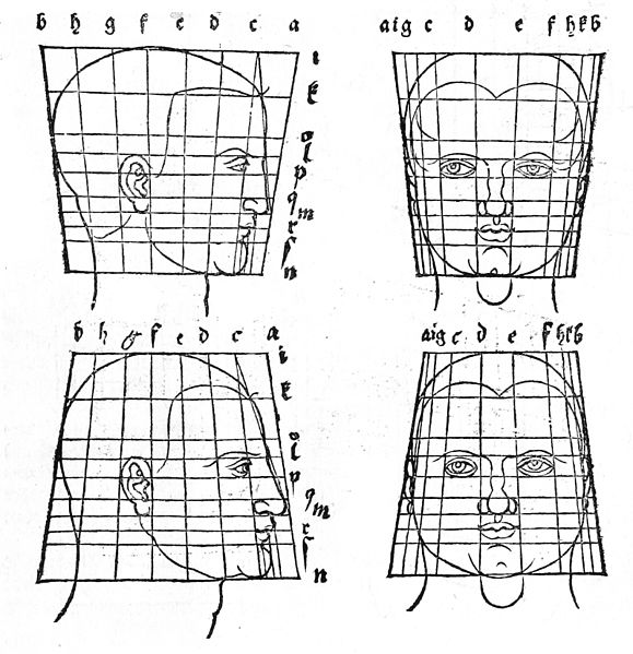 File:Durer face transforms.jpg