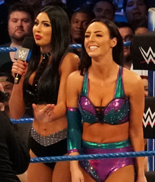 IIconics.png