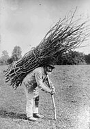 A man with a thick bundles of sticks on his back