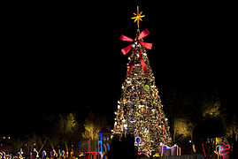 Árbol de Navidad en la ciudad de Pachuca de Soto.