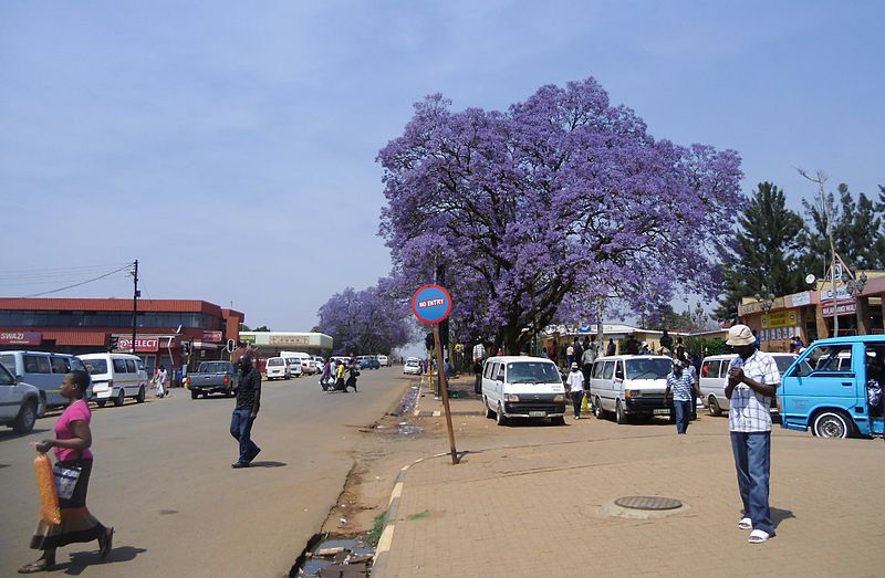 Файл:2012-10-06-nhlangano town center jacaranda.jpg