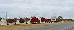 Association of Breeders and Owners of Paso Horses in La Libertad