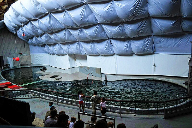 File:Dolphinarium at ZOO Antwerp.jpg