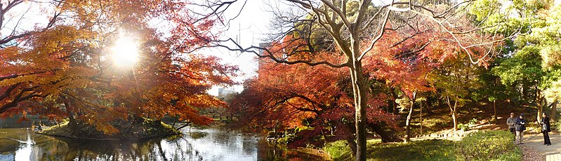 File:Koishikawakorakuen-koyo-panorama1.jpg