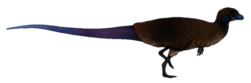 File:Lesothosaurus diagnosticus mirrored.png