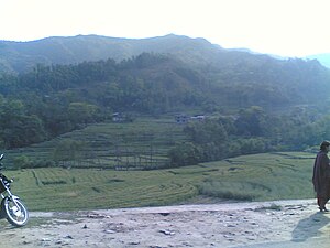 Paddy field in Ramkot below a hill