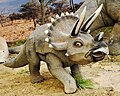 A young big-eyed Triceratops model from Dinosaurios Park