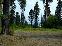 Scenic view from Fireplace Day Use Area