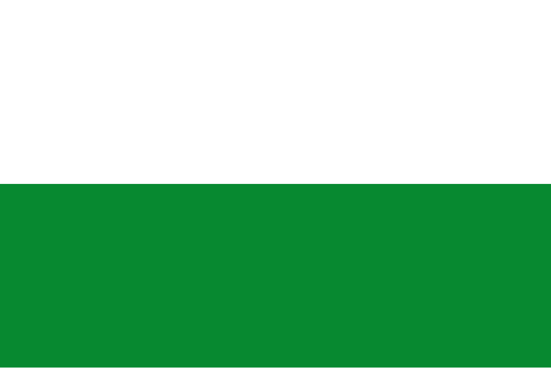 Файл:Flag of Styria.svg