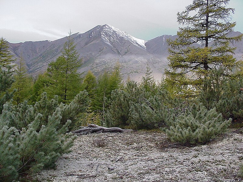 File:Kolyma Nature.jpg