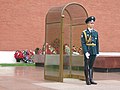 Guarding the Tomb of the Unknown Soldier, with a ceremonial SKS rifle