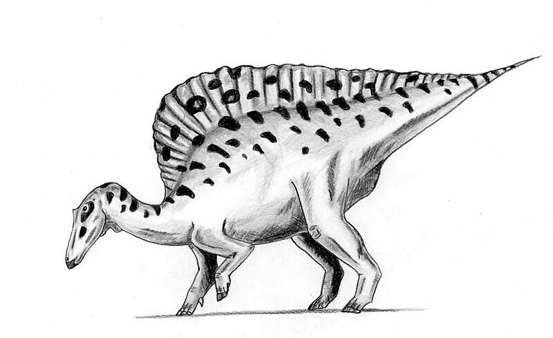 Archivo:Ouranosaurus.jpg