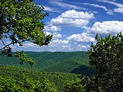 Sinnemahoning State Park