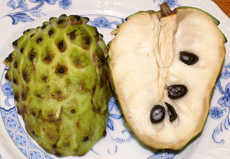 File:Annona atemoya.jpg