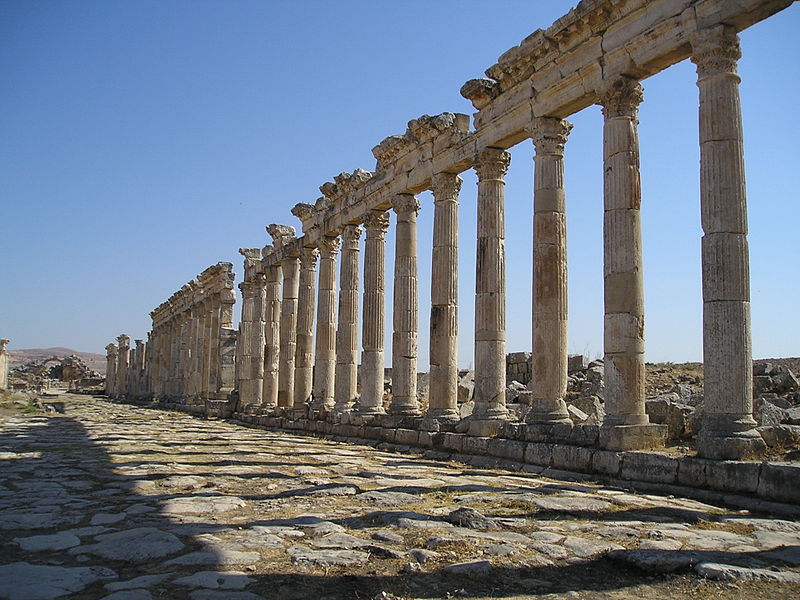 Archivo:Apamea-Cardo.jpg