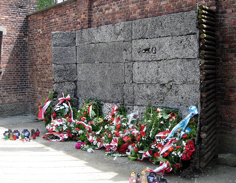 Файл:AuschwitzExecutionWall2006.jpg