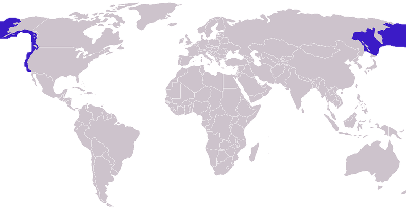 Файл:Eumetopias jubatus distribution.png