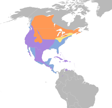 File:Fulica americana map.svg