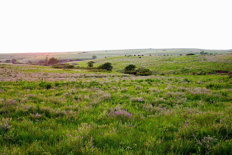 File:Great Plains LCC (14285769265).jpg