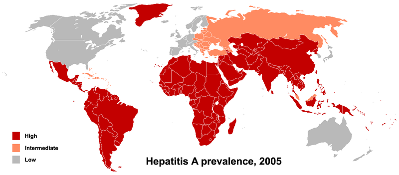 Файл:HAV prevalence 2005.png