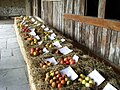 Exposición de manzanas. Semana de la sidra, Caserío Museo Igartubeiti.