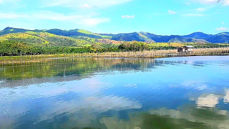 File:Lake Buluan.jpg